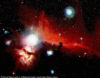 The Horse Head Nebula